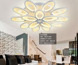 Flower shape acrylic LED ceiling light
